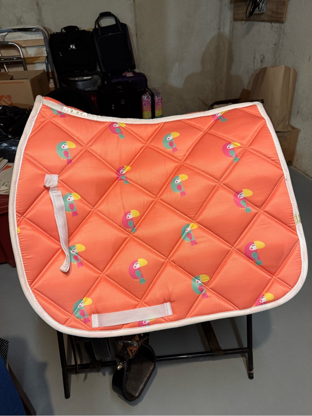 Lettita Collection Coral Toucan English Saddle Pad - New